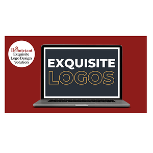 Exquisite Logo Design Solution Consultation